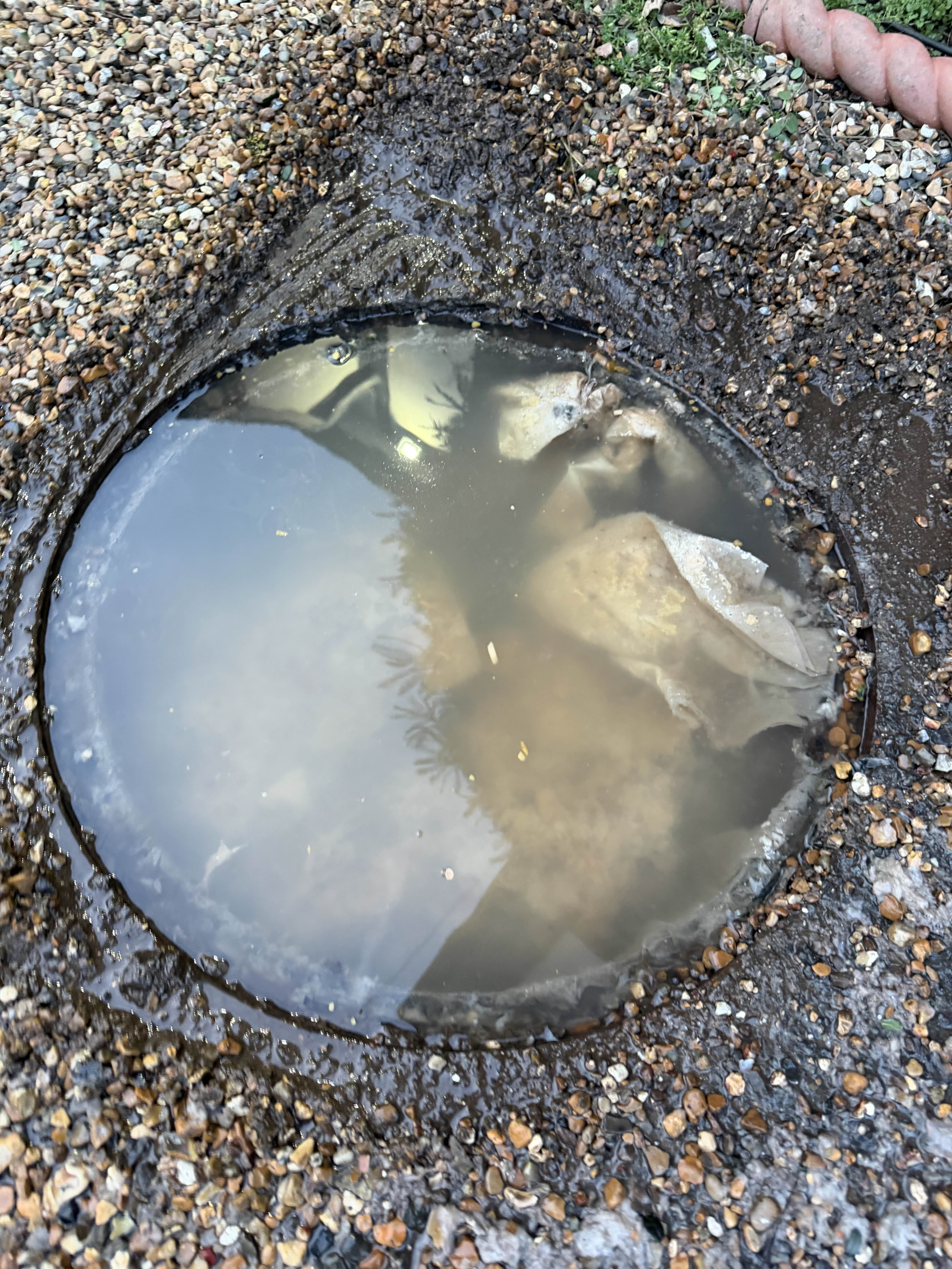 Blocked drain before cleaning